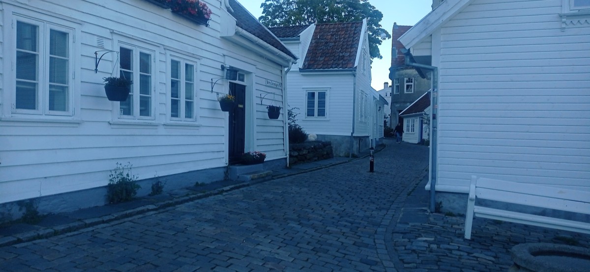 20250926_175616.jpg