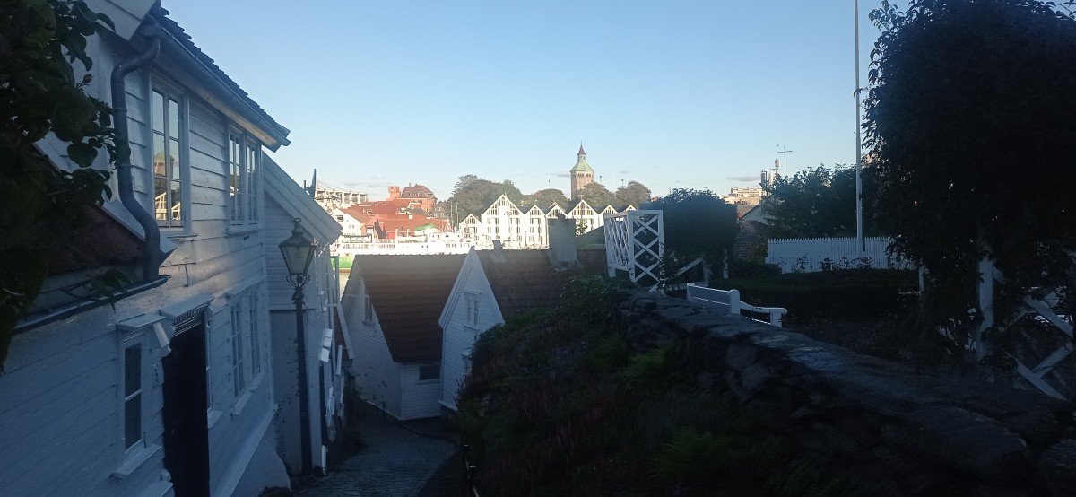 20250926_175625.jpg