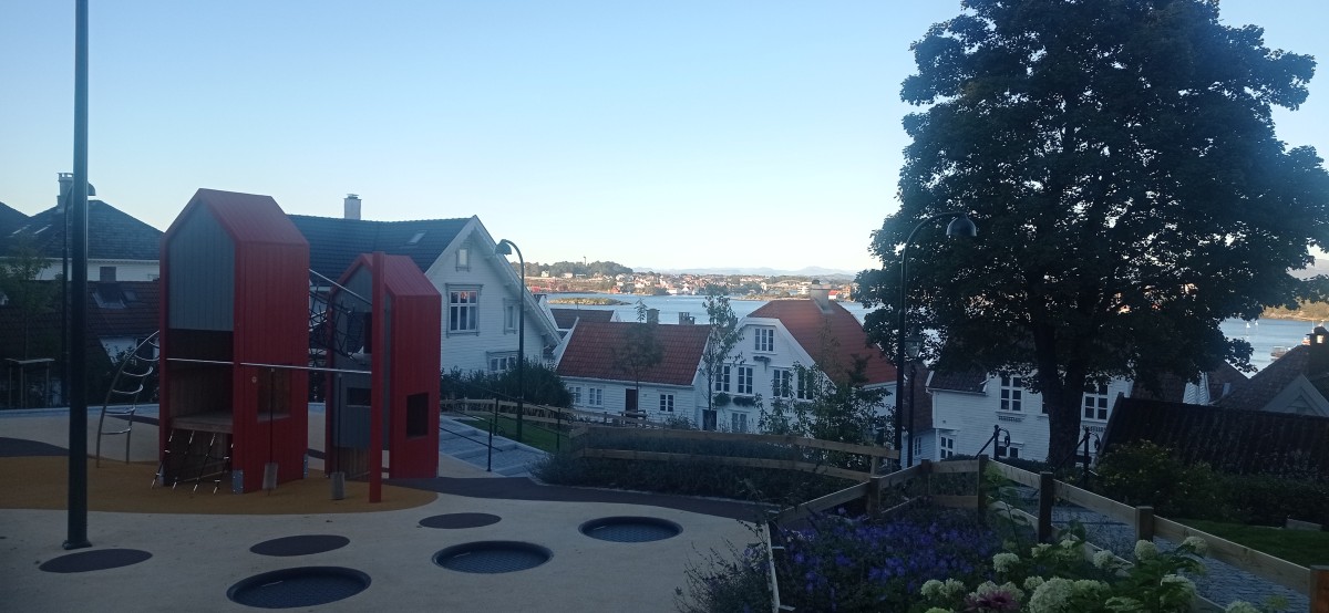 20250926_180213.jpg