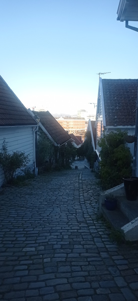 20250926_180418.jpg
