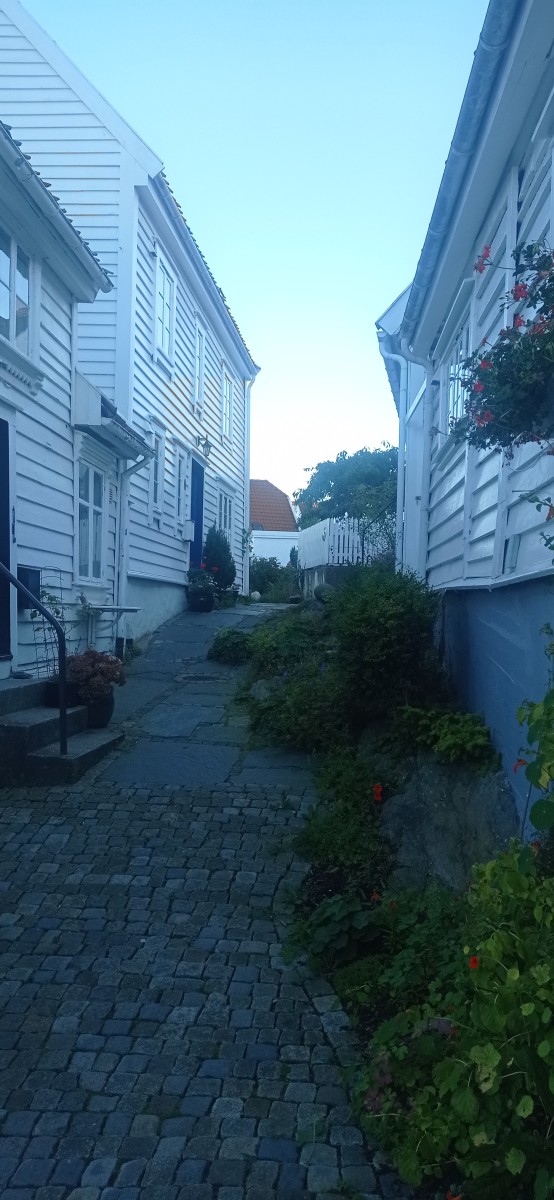 20250926_180440.jpg