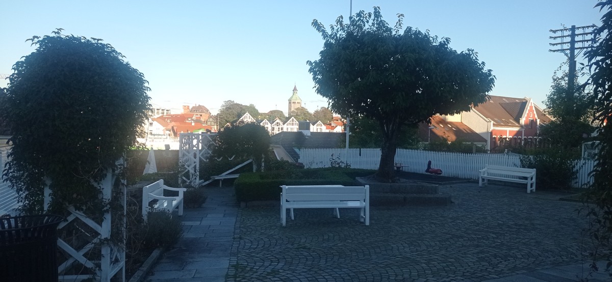 20250926_180505.jpg