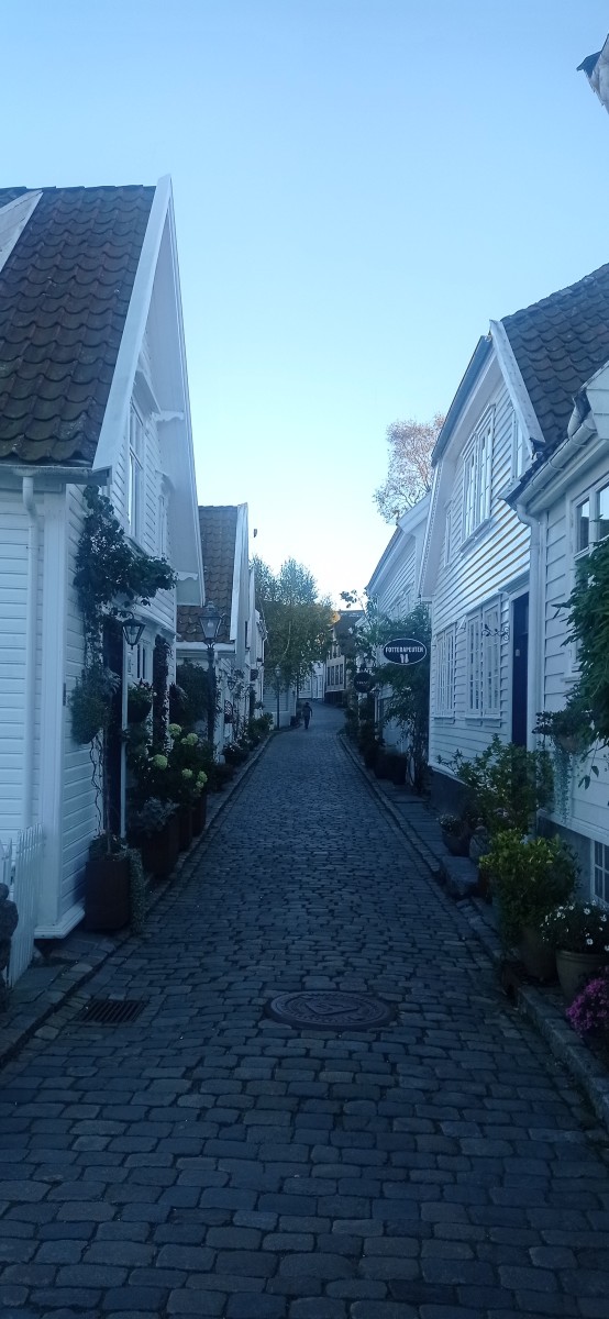 20250926_180520.jpg