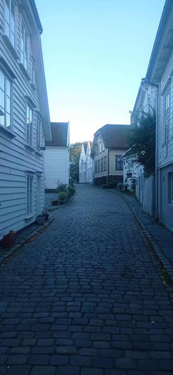20250926_180615.jpg