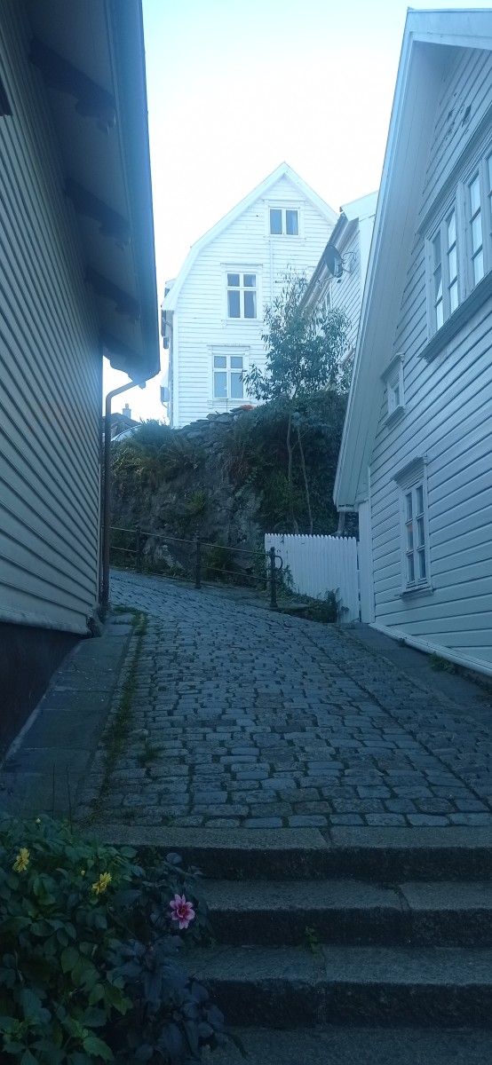 20250926_180707.jpg