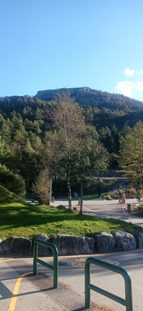 20250927_095915.jpg