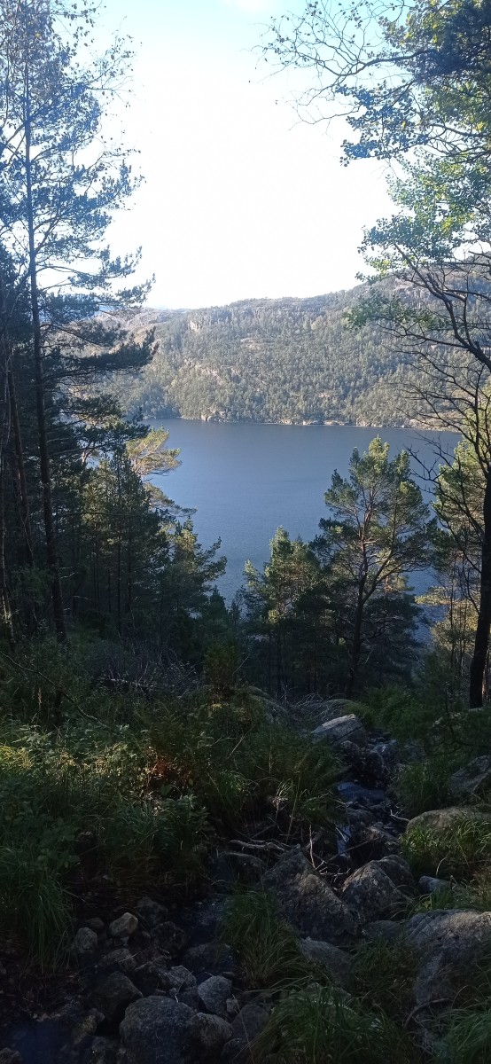 20250927_101804.jpg