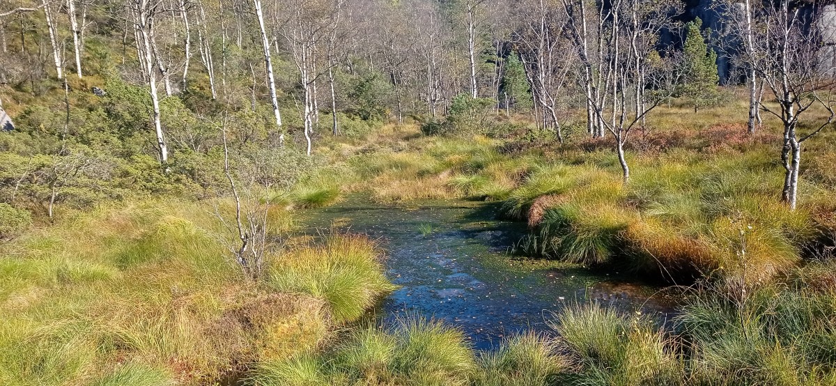 20250927_102924.jpg