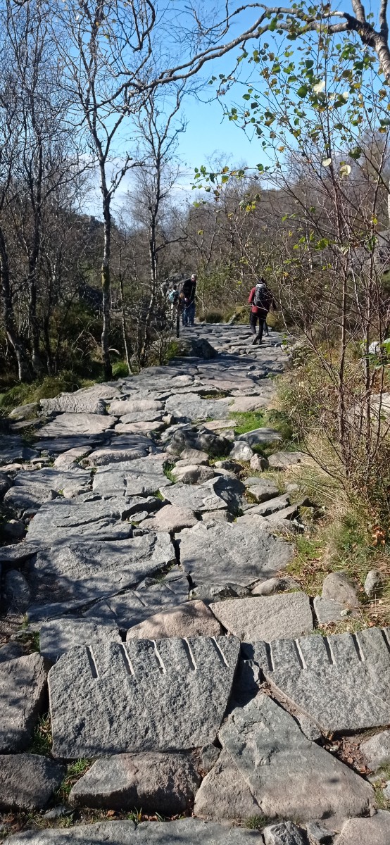 20250927_121353.jpg