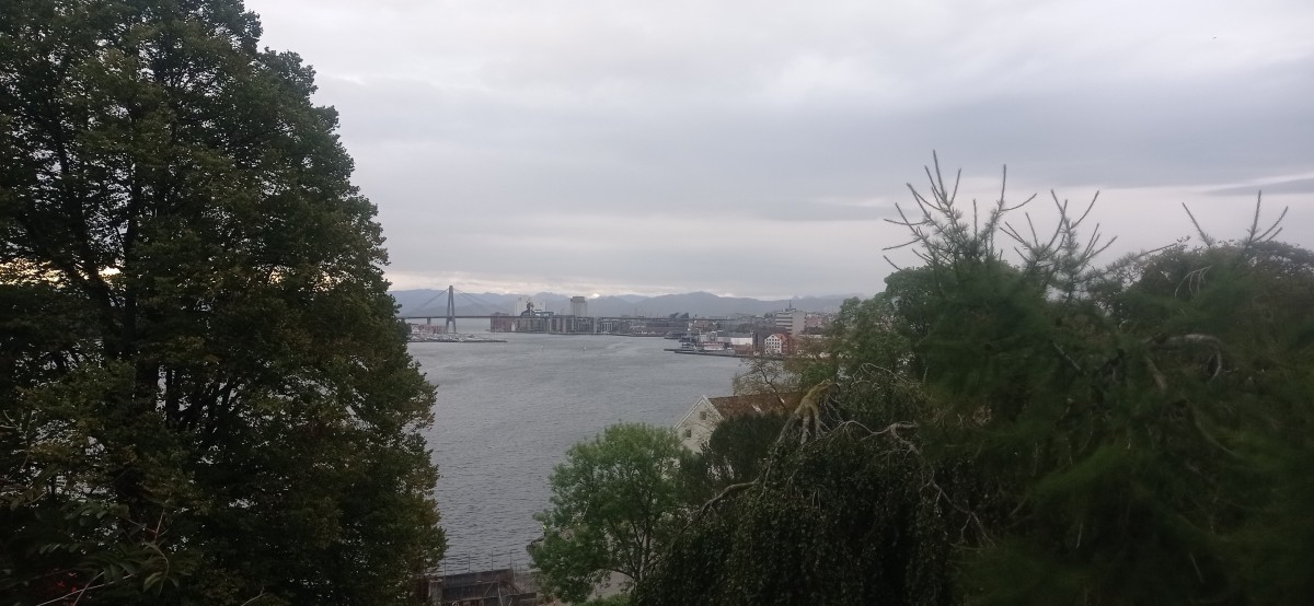 20250928_091309.jpg