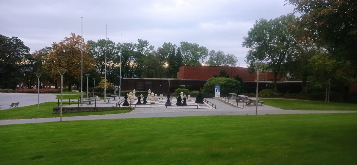 20250928_091749.jpg