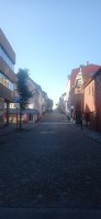 20250926_095815.jpg