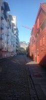 20250926_095848.jpg