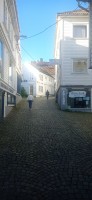 20250926_102620.jpg