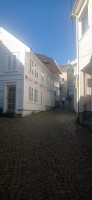 20250926_102637.jpg