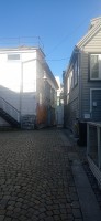 20250926_103059.jpg