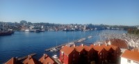 20250926_122547.jpg