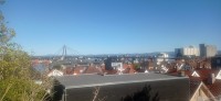 20250926_124259.jpg