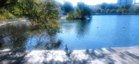 20250926_130215.jpg