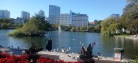 20250926_130306.jpg