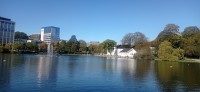 20250926_130452.jpg