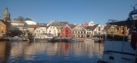 20250926_175103.jpg