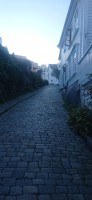 20250926_175537.jpg