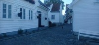 20250926_175616.jpg