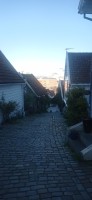 20250926_180418.jpg