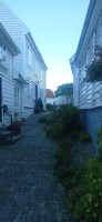 20250926_180440.jpg