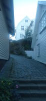 20250926_180707.jpg