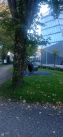20250926_180858.jpg