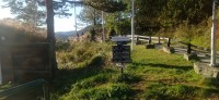 20250927_095923.jpg