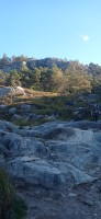20250927_102041.jpg