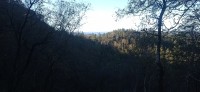 20250927_103758.jpg