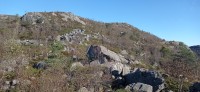 20250927_104840.jpg