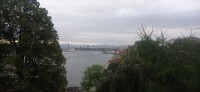 20250928_091309.jpg