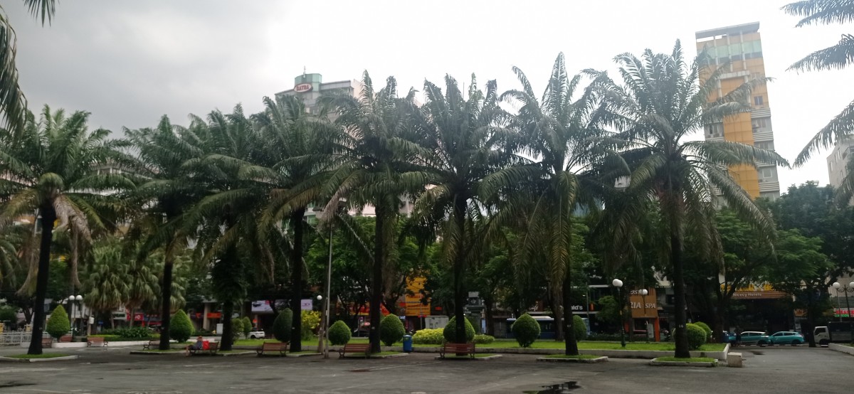20251003_114759.jpg