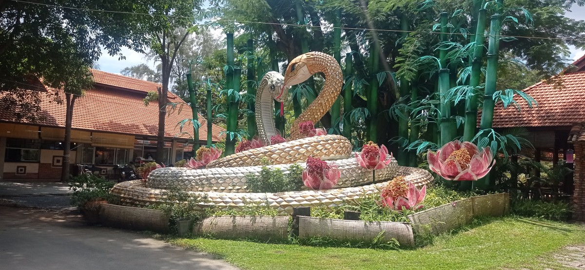 20251007_111339.jpg