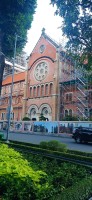 20251003_170337.jpg