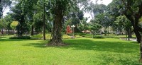 20251006_120731.jpg