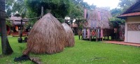 20251007_110911.jpg