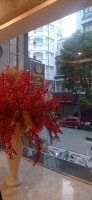 20251008_060800.jpg