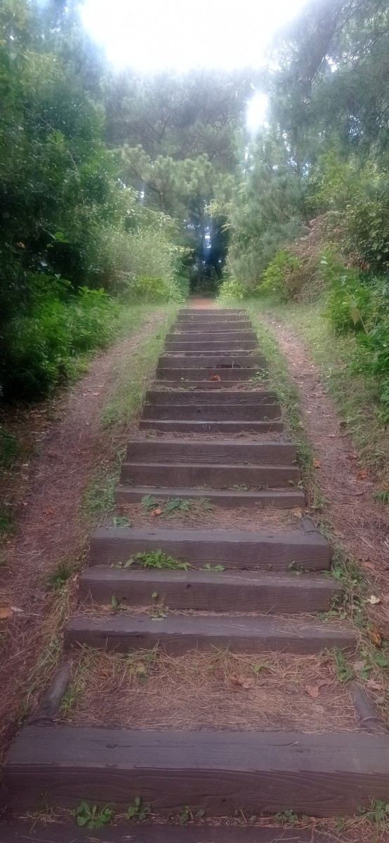20251027_122758.jpg