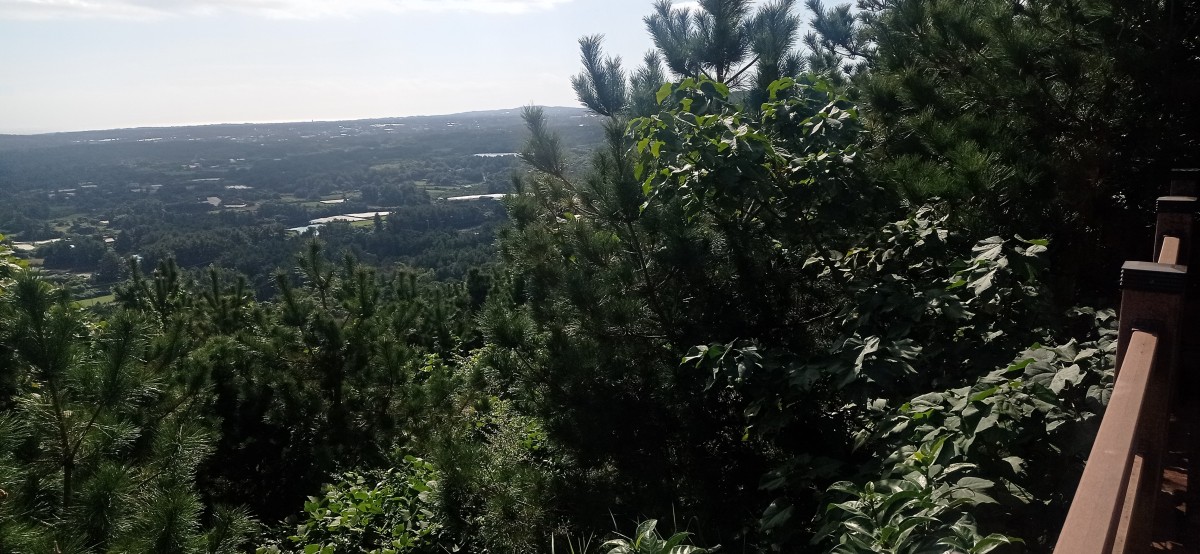 20251027_124035.jpg