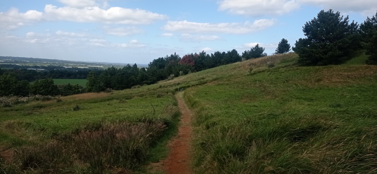 20251027_125407.jpg