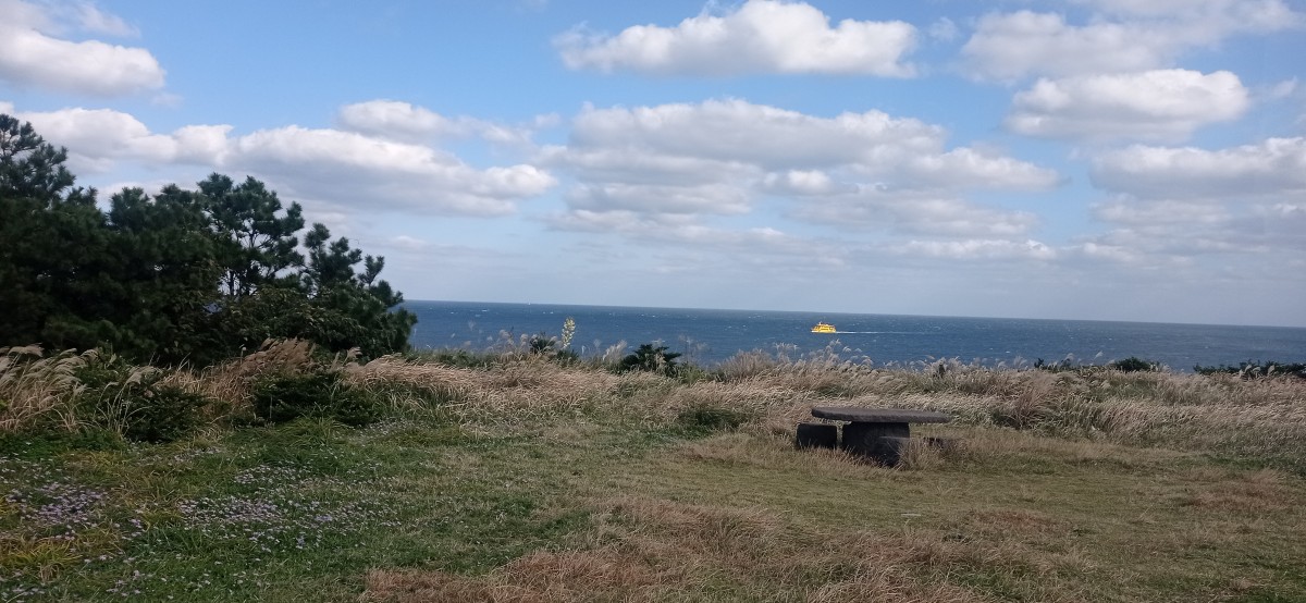 20251027_151540.jpg