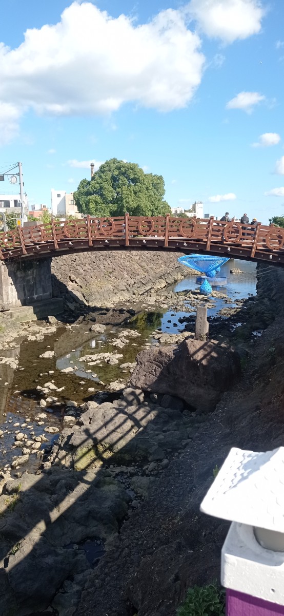 20251028_104910.jpg