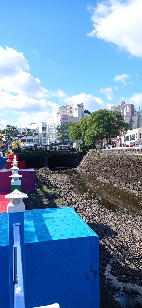20251028_104914.jpg