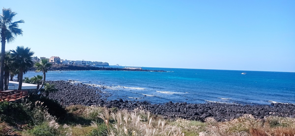 20251029_115905.jpg